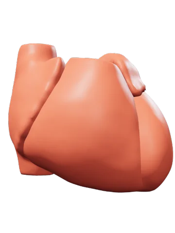 لوحة القلب من كُنْه: 17 بنية